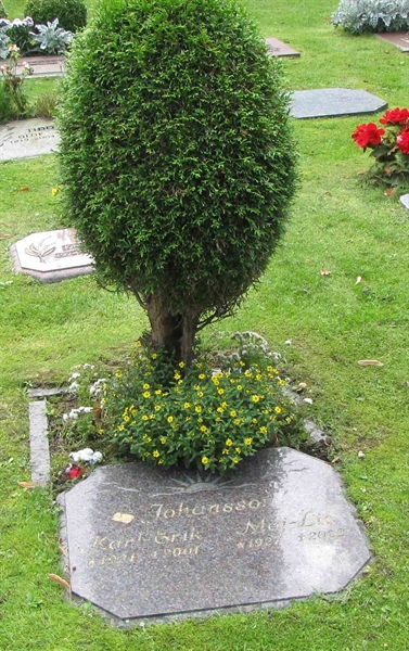 Grave number: HN KASTA    60