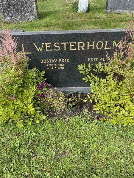 Grave number: N 4 2   238b