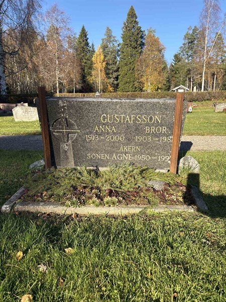 Hautatunnus: R 4   295-296