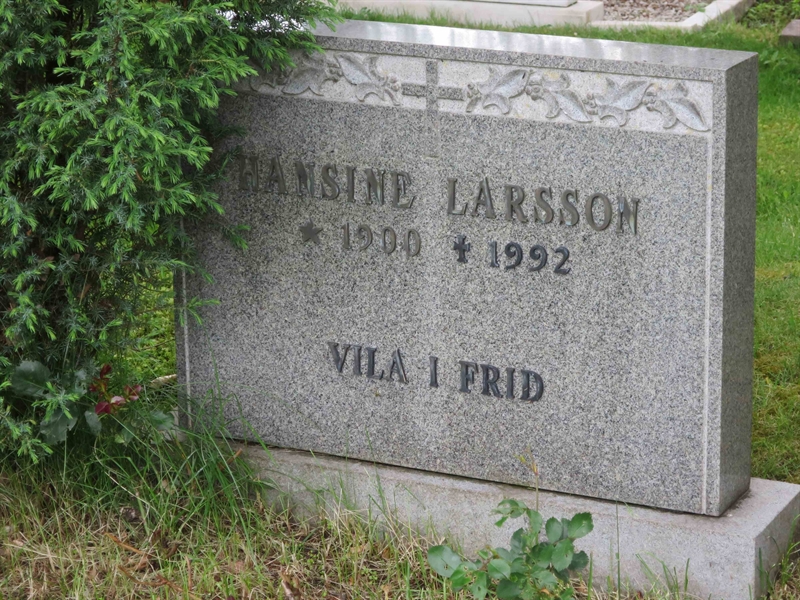 Grave number: HÖB 65    19