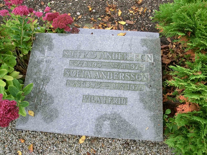Grave number: ÖT NYA 306-307