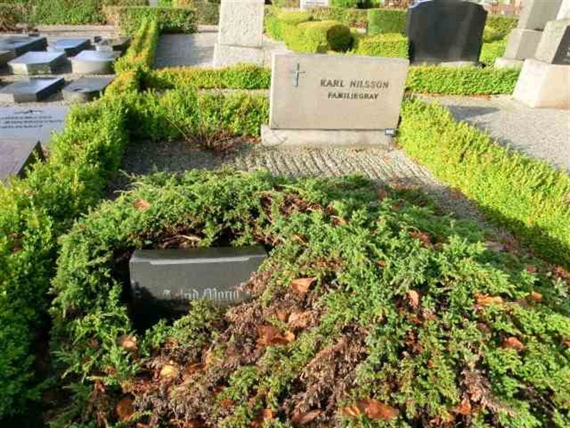 Grave number: ÖK F    018B
