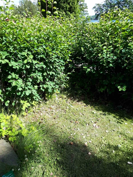 Gravnummer: GK A 5   140H