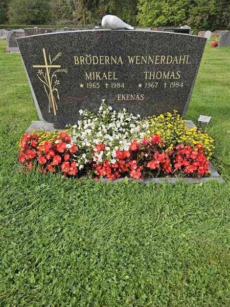 Grave number: Fr 8   372-373