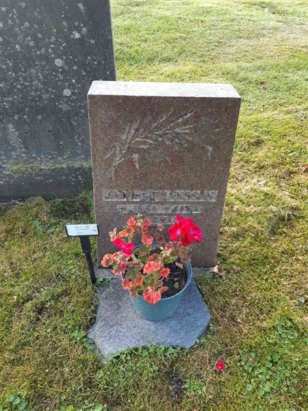 Grave number: Fr 7   194