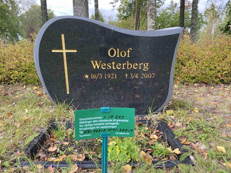 Hautatunnus: 1 19    243