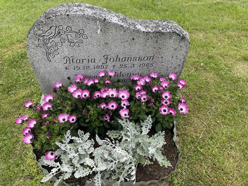 Grave number: 001 1 6  6514