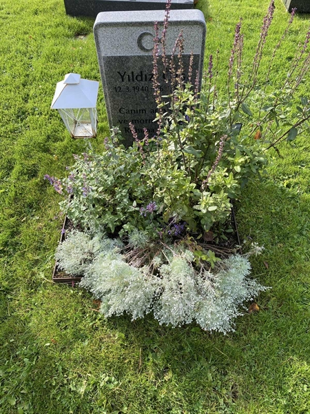 Gravnummer: 2 G    38