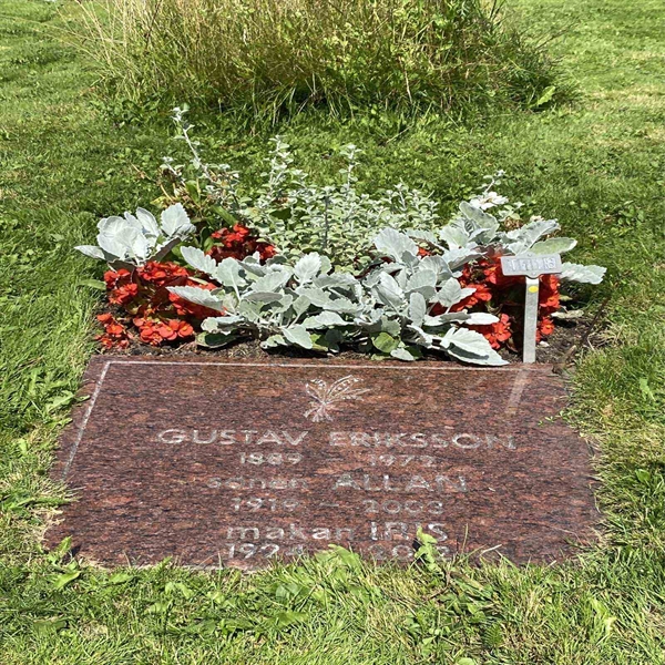 Hautatunnus: 1 T   118