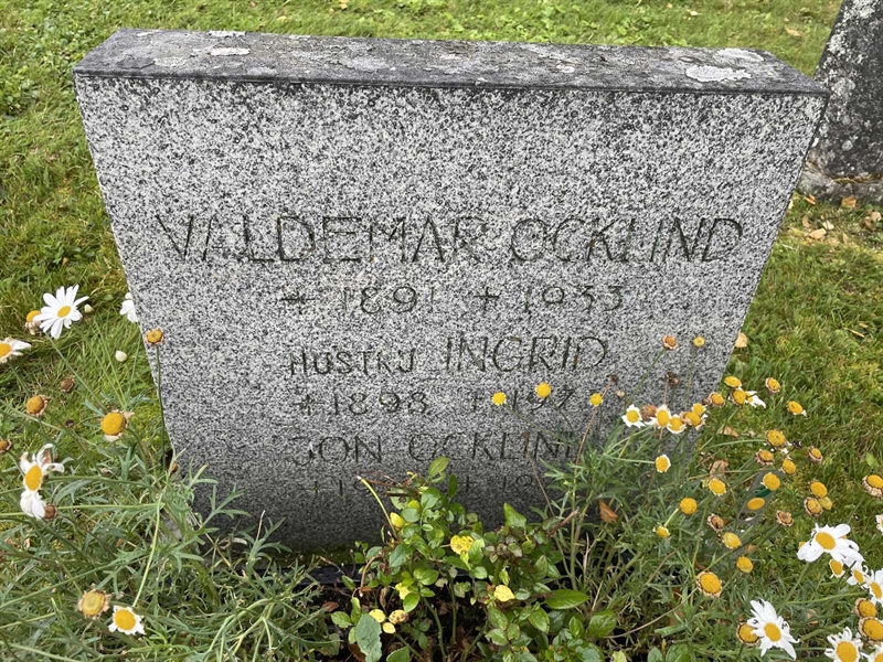 Grave number: MV II    19