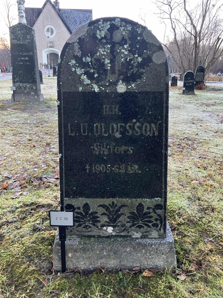 Hautatunnus: 2 C    50