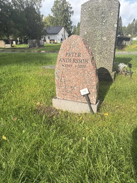 Grave number: 1 G   231