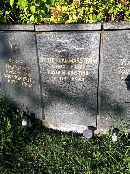 Hautatunnus: GK U 4   383