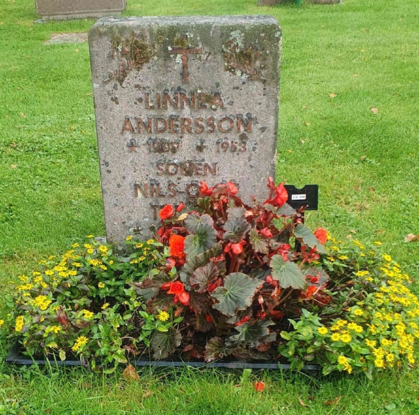 Gravnummer: 1 Y   110