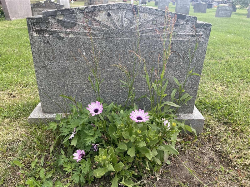 Grave number: 001 1 5  6565