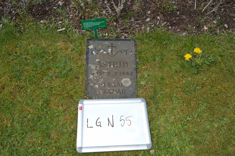 Grave number: LG N    55