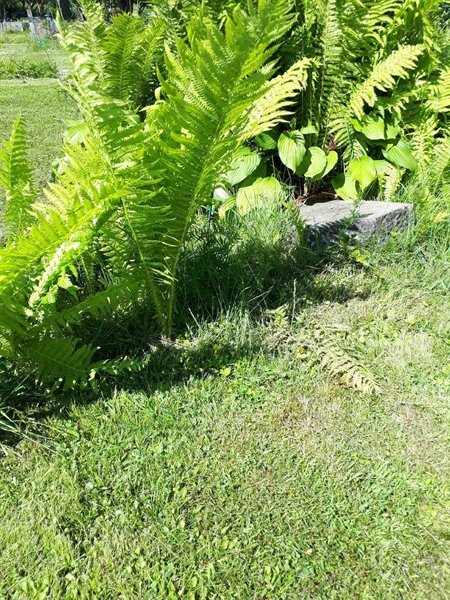 Grave number: GK A 5   152M