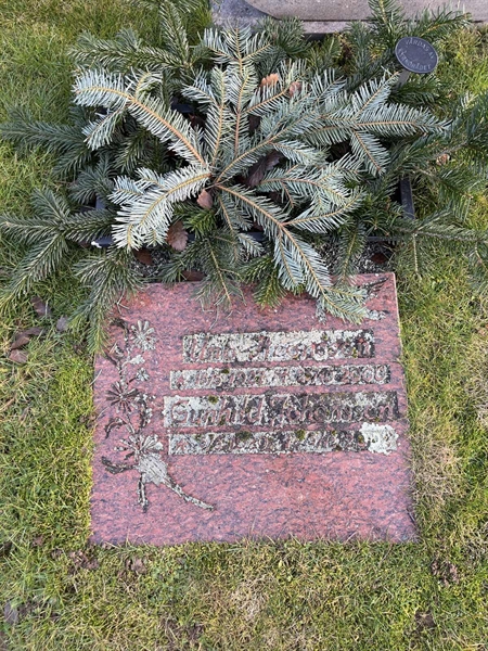 Hautatunnus: Ärt 96 33 44+45