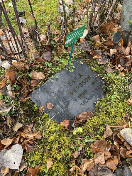 Gravnummer: GK A 3   470