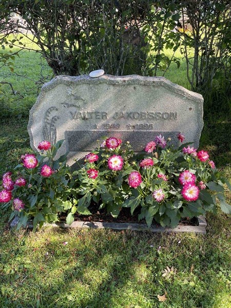 Grave number: 2 29    57-58