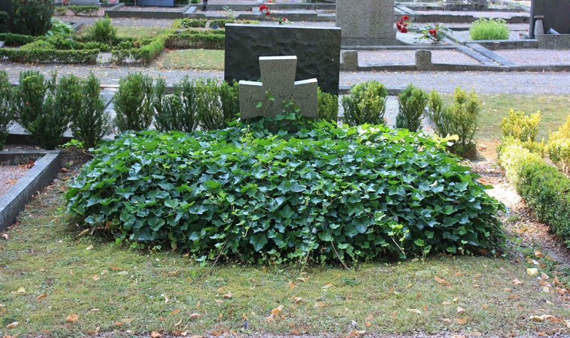 Grave number: Ö 21y    49, 50