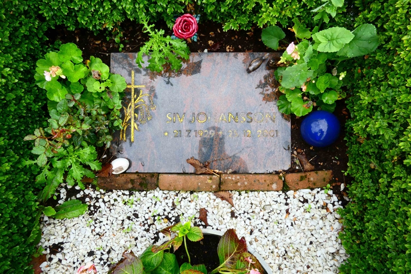 Grave number: TÖ 2    60