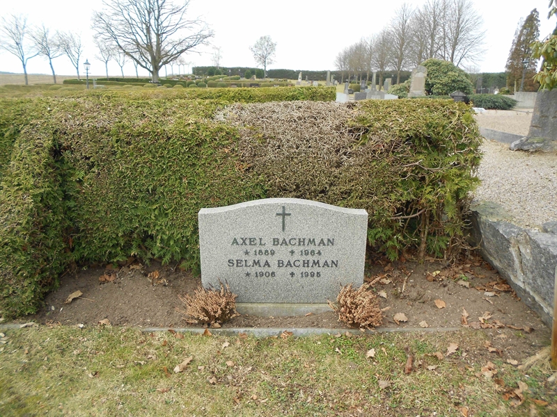 Grave number: V 11     1