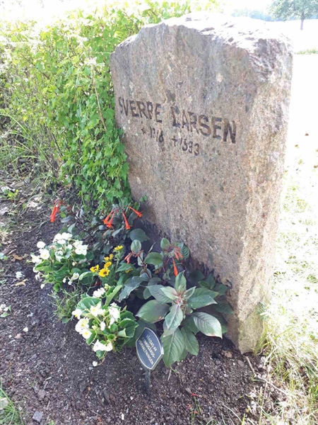 Gravnummer: GK F 5   554