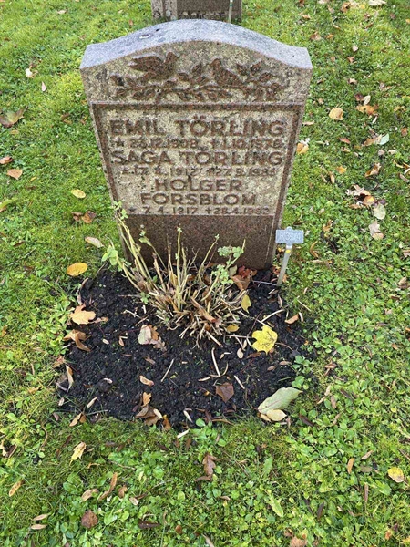 Gravnummer: 1 H   314