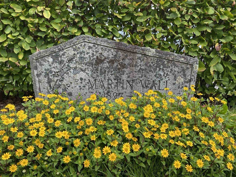 Hautatunnus: 1 19    236