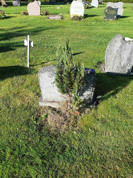 Hautatunnus: Fr 8   251