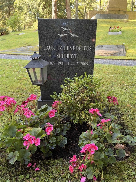 Hautatunnus: 1 B    40
