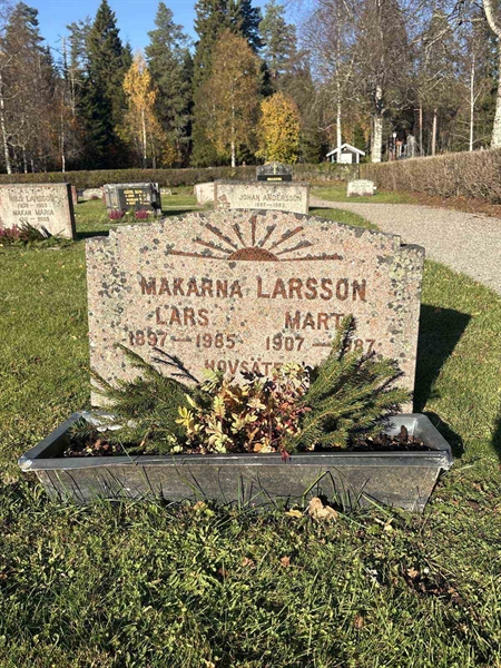 Hautatunnus: R 4   245-246