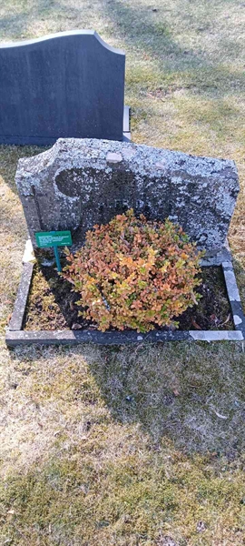 Gravnummer: 3 Nya F    82-83