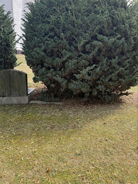Grave number: SP A    95