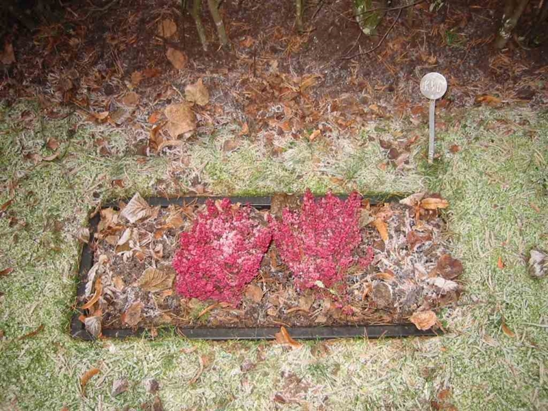 Grave number: KV 1    74-75