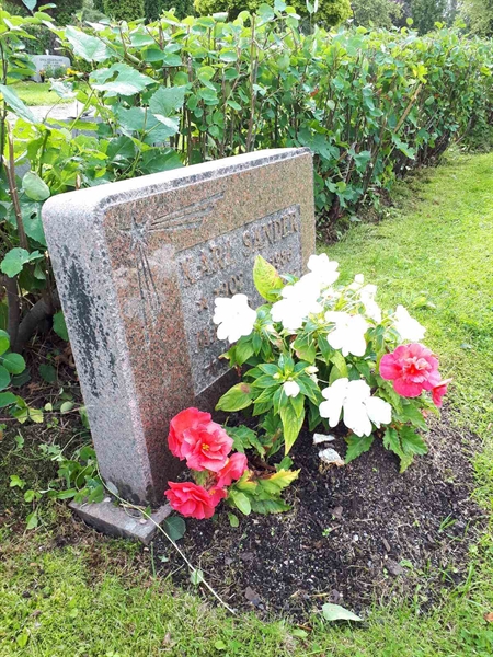 Hautatunnus: NK F C   131-132