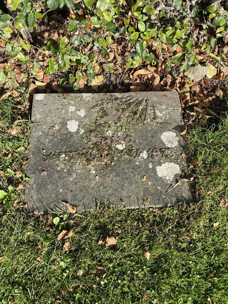 Grave number: 22 D    46