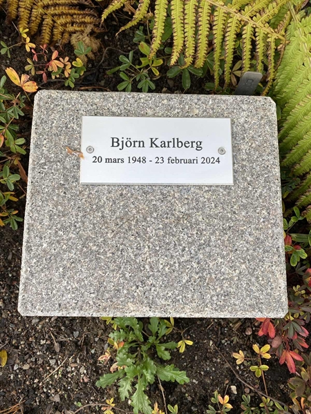 Gravnummer: 2 B    26