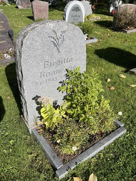 Grave number: 30ST TALL    62