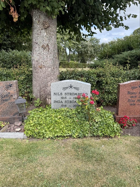 Grave number: ON C   645
