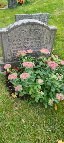 Grave number: M S   24a, 24b