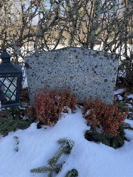 Gravnummer: SJ G    31