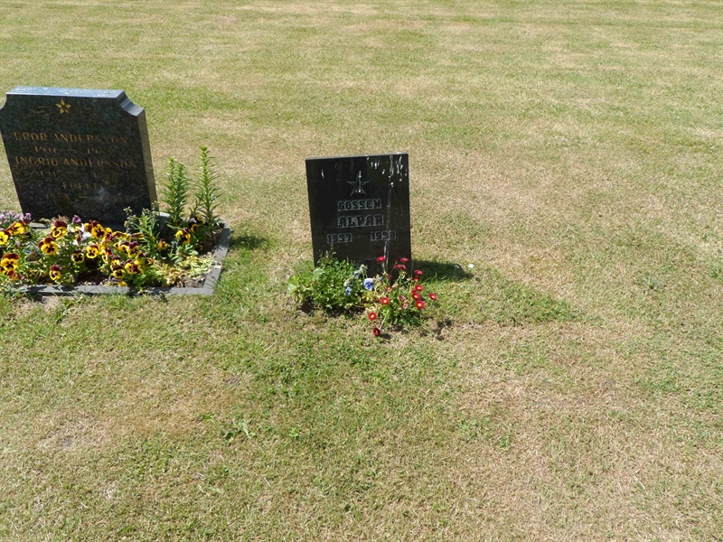 Grave number: ÖV I   113