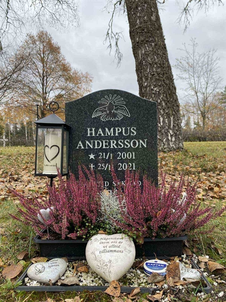 Grave number: 1 28     41