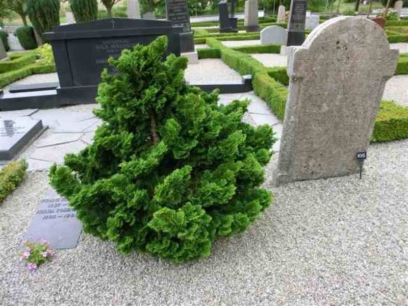 Grave number: TU 09    018A