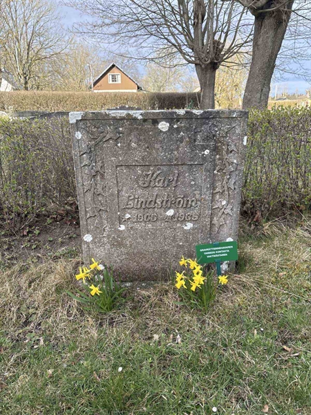 Gravnummer: LO   117