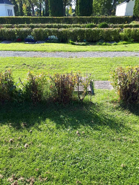 Hautatunnus: NK F G   302