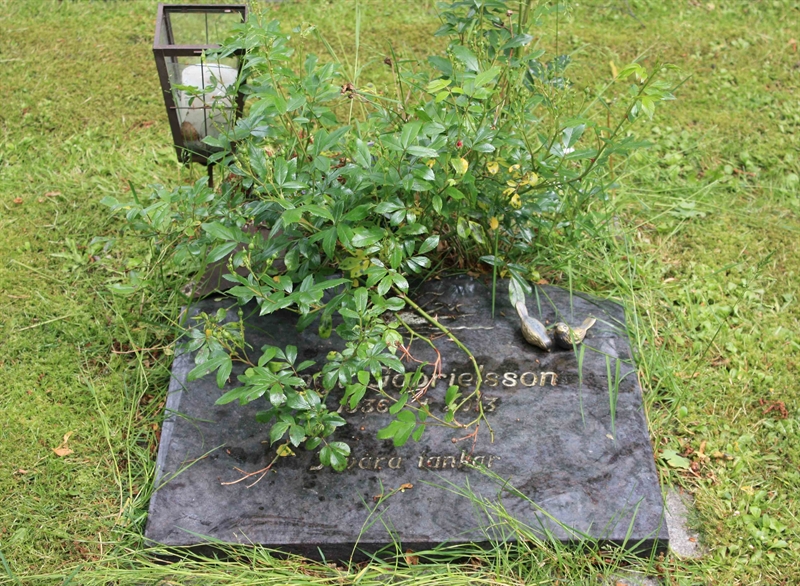 Grave number: Ö 45   195