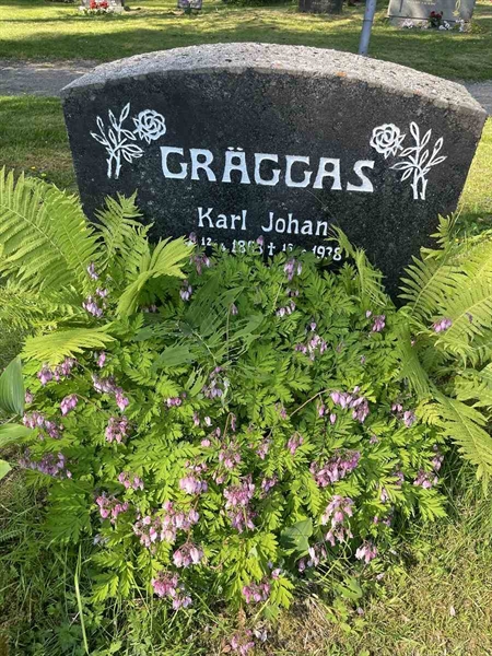 Hautatunnus: N 5 2   282